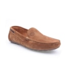 245 1701 Camel1_1-1